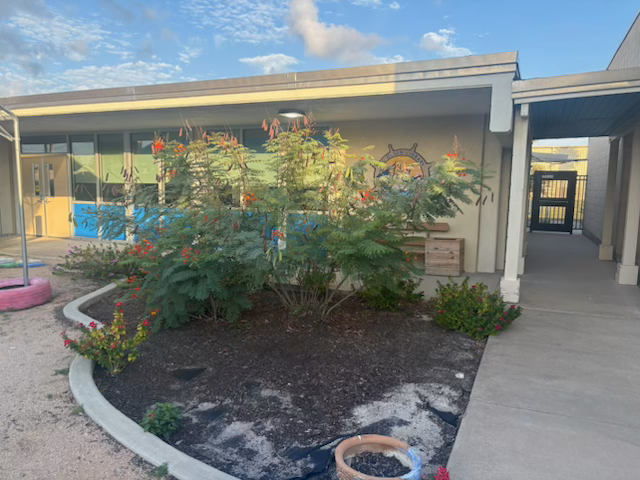school garden 1